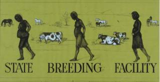 Ilona Granet - State Breeding Facility