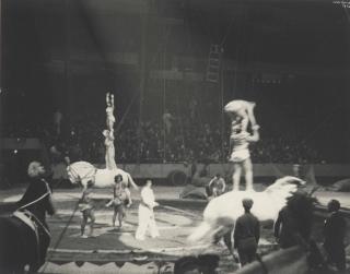 Ilse Bing - Ringling Brothers Circus, Madison Square Garden, 1936