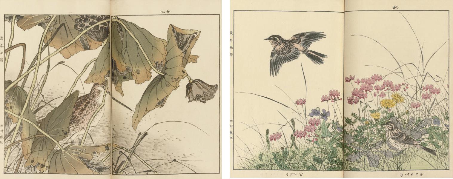 Imao Keinen - Unknown