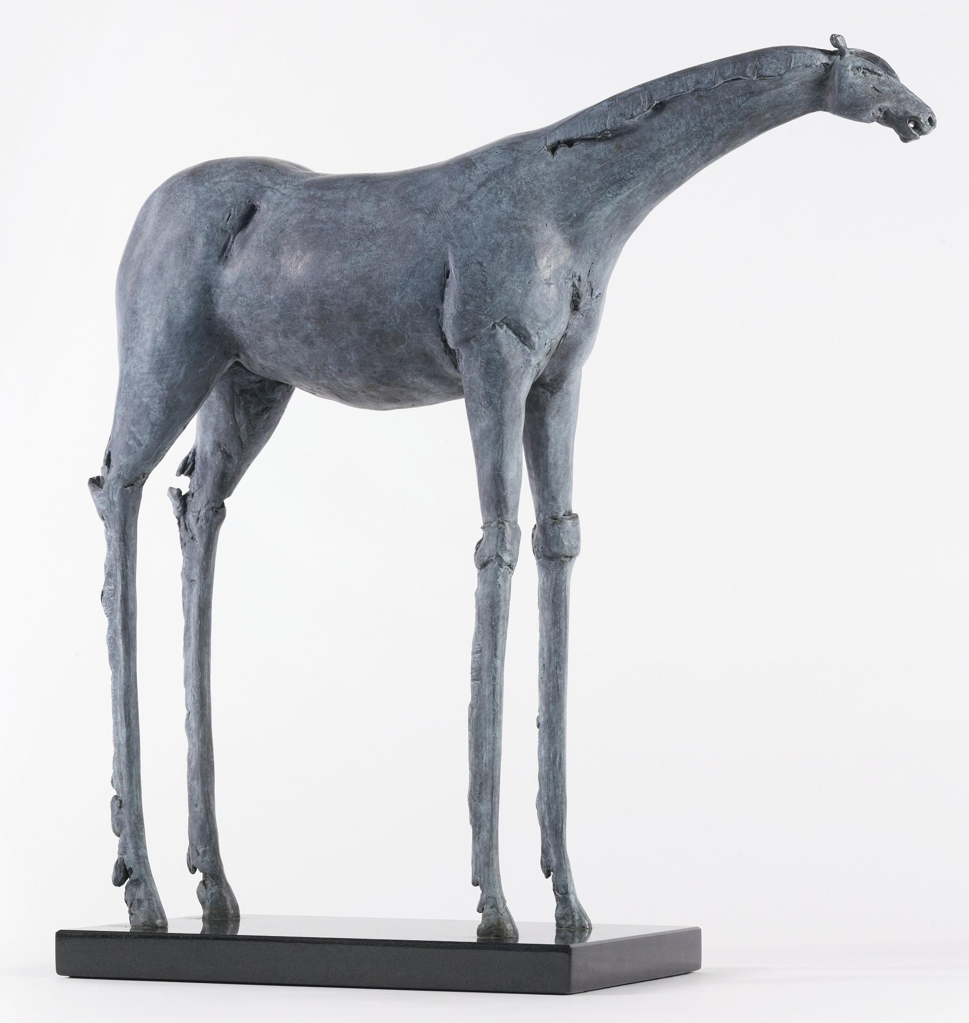 Immi C. Storrs - Future Horse