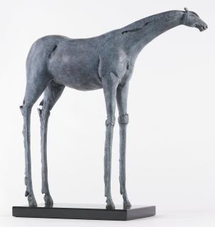 Immi C. Storrs - Future Horse