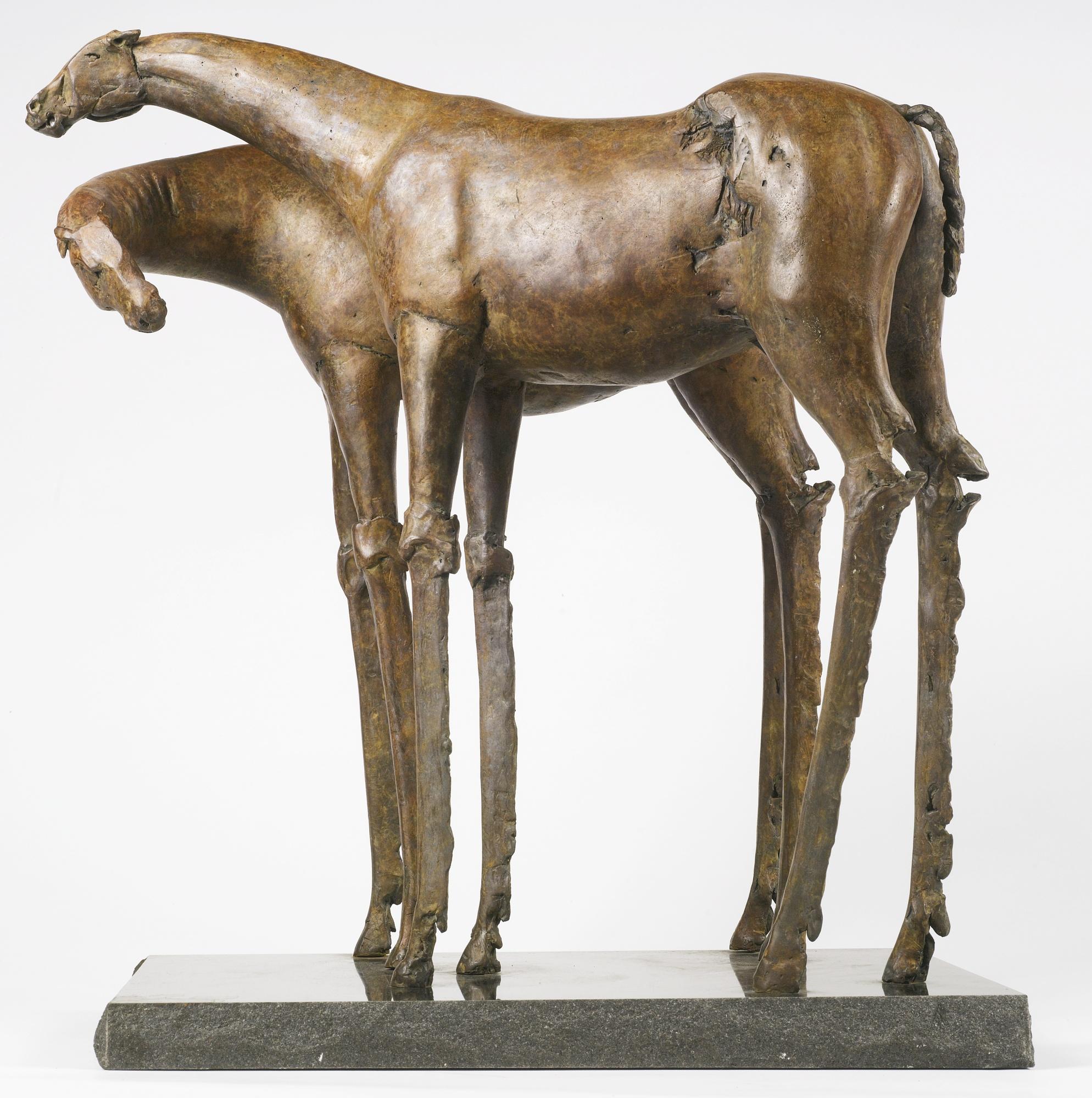 Immi C. Storrs - Future Horses