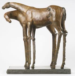 Immi C. Storrs - Future Horses