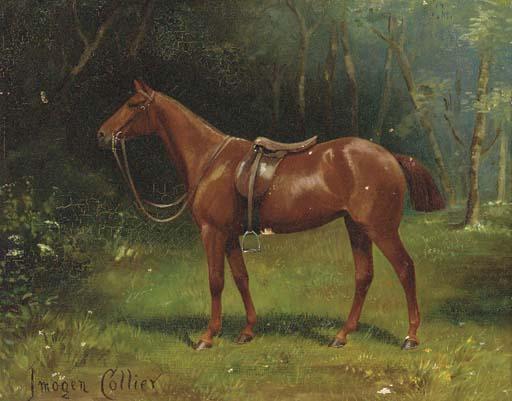 Imogen Collier - A chestnut hunter in a wood