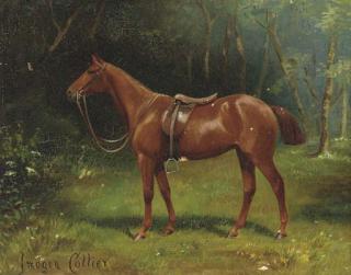 Imogen Collier - A chestnut hunter in a wood