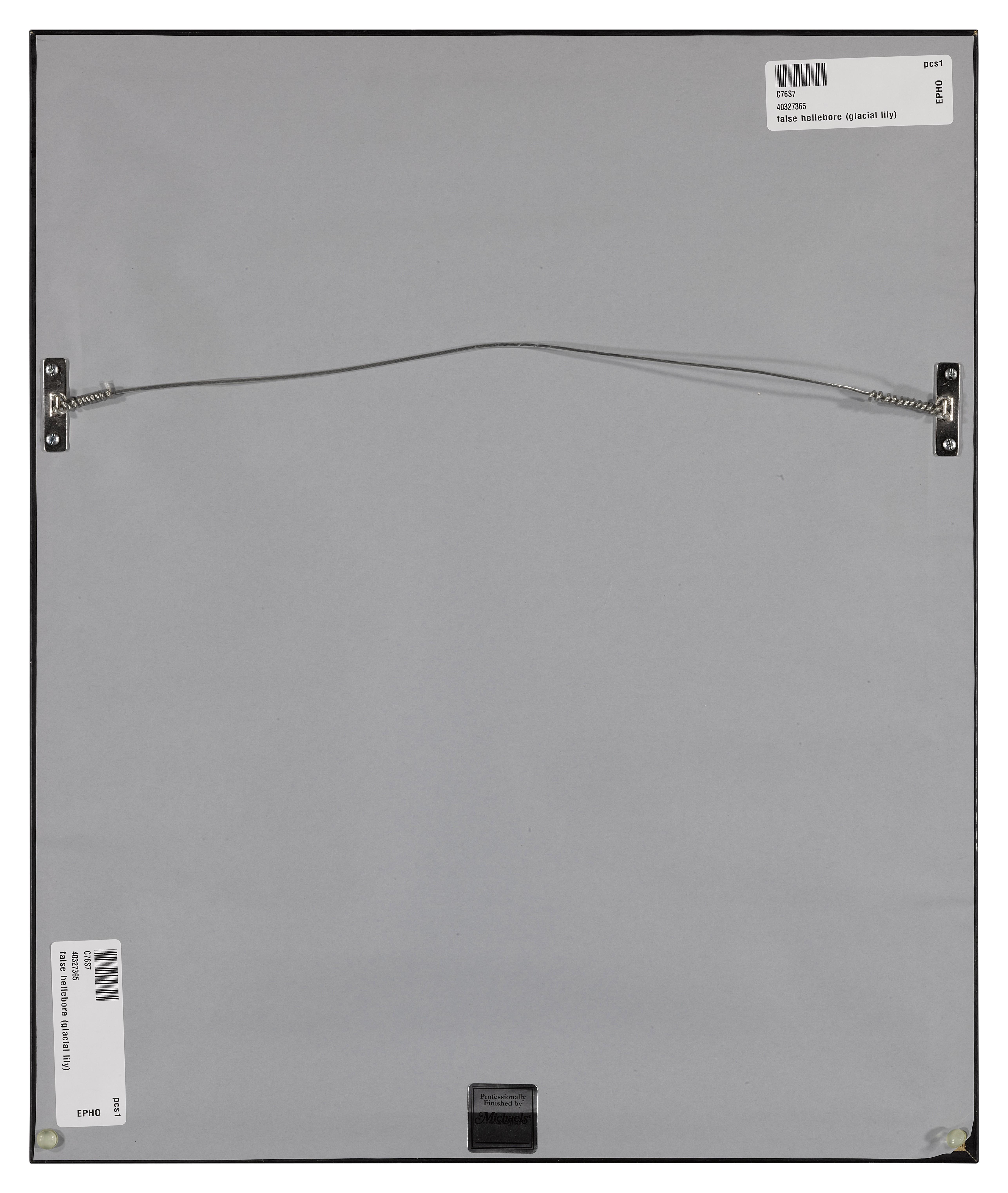 Imogen Cunningham - False Hellebore (Glacial Lily)