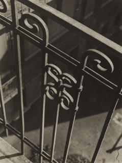 Imre Kinszki - Gitter