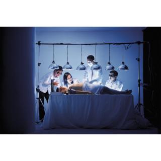 Indra Leonardi - Organ For Sale