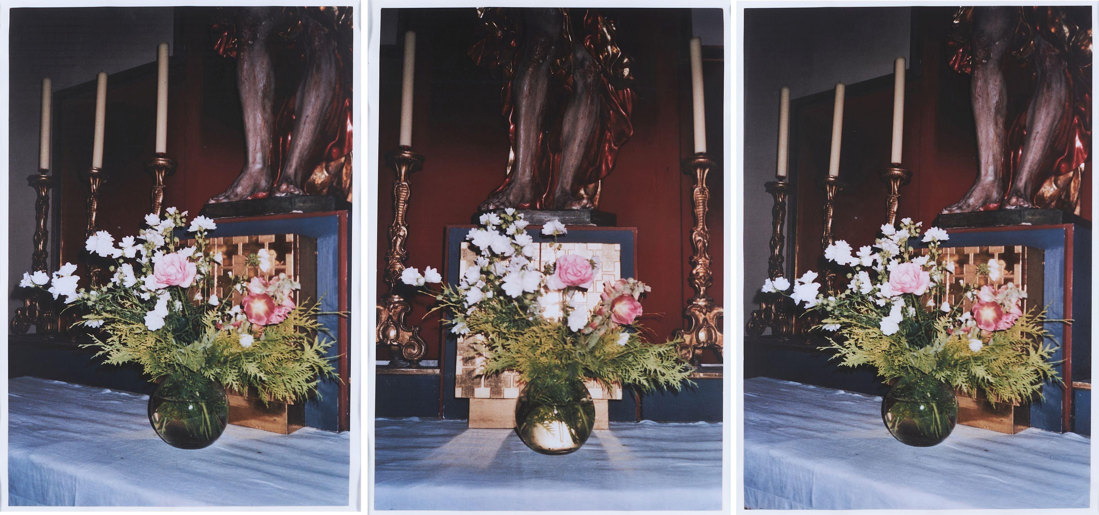 Inga Kerber - Cliché of a Flower Bouquet LVI (Triptychon).