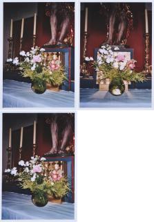 Inga Kerber - Cliché of a Flower Bouquet LVI.