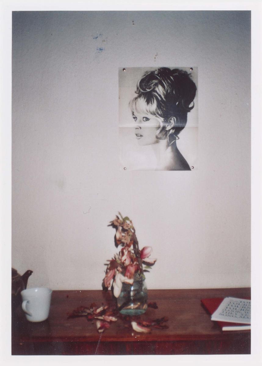 Inga Kerber - Cliché of a flower bouquet VIII (Triptychon)