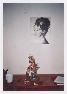 Inga Kerber - Cliché of a flower bouquet VIII (Triptychon)