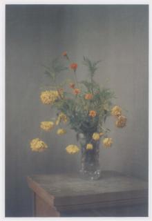 Inga Kerber - Cliché of a flower bouquet X (5-teiliges Werk)