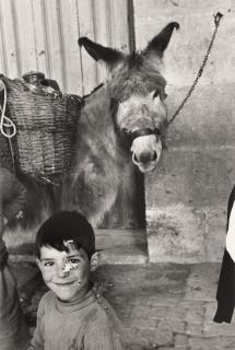 Inge Morath - Little Boy and His Donkey, 1955