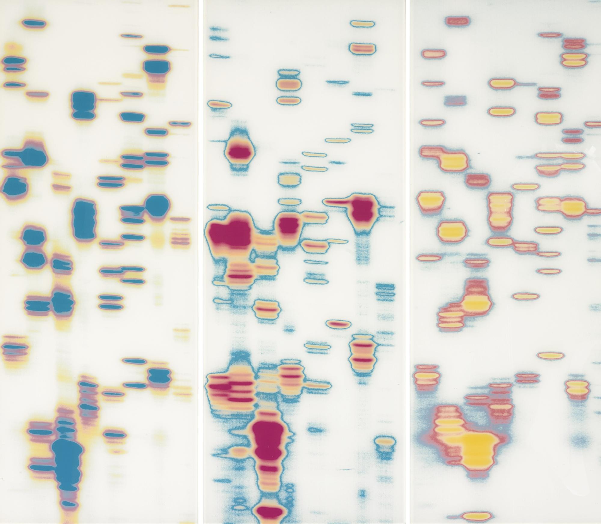 Iñigo Manglano-Ovalle - Carter, Anna, And Daryl (From Garden Of Delights) [Triptych]