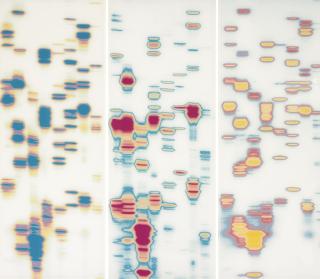 Iñigo Manglano-Ovalle - Carter, Anna, And Daryl (From Garden Of Delights) [Triptych]