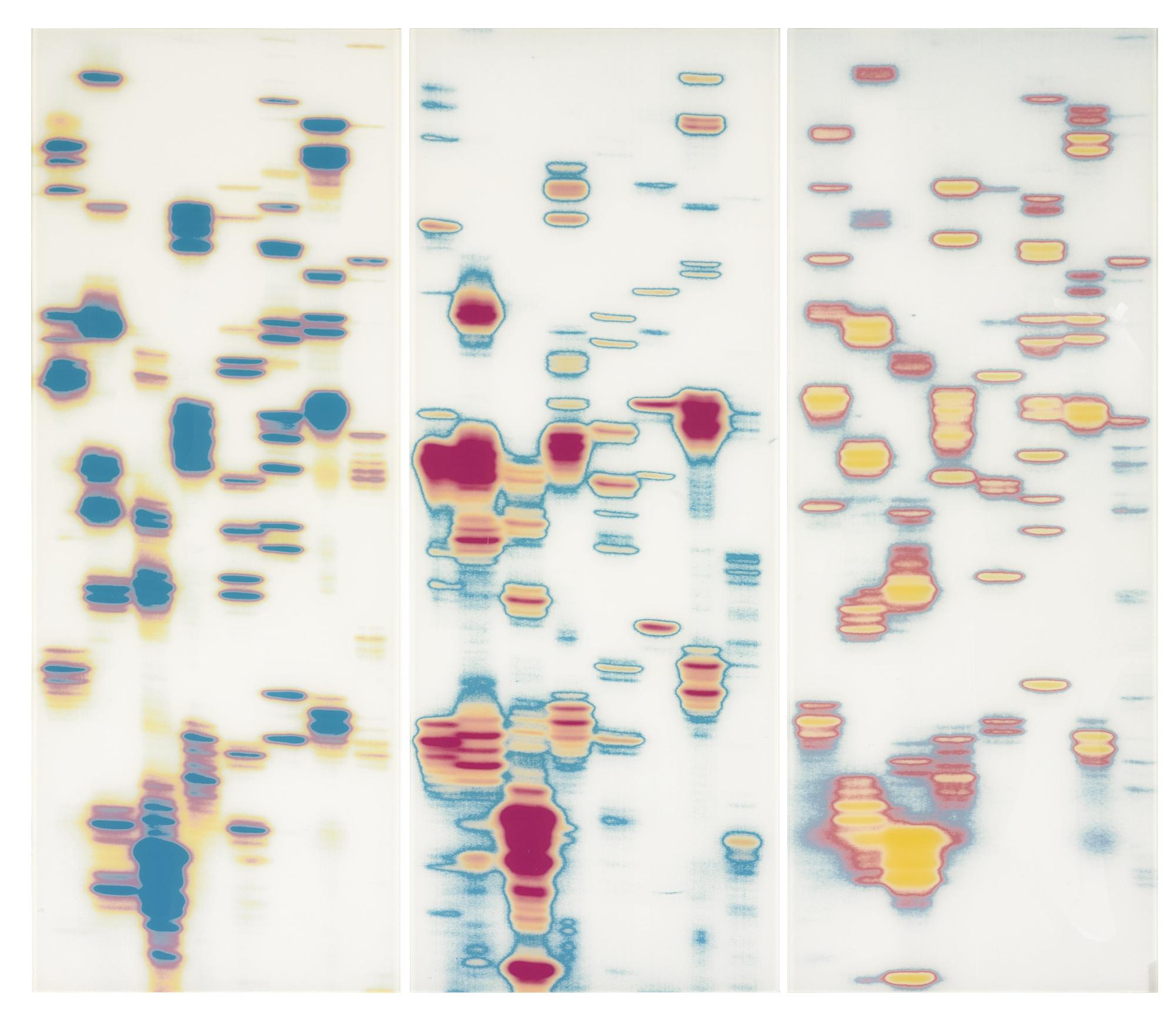 Iñigo Manglano-Ovalle - Carter, Anna, And Daryl (From Garden Of Delights) (Triptych)