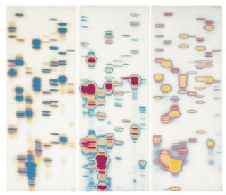 Iñigo Manglano-Ovalle - Carter, Anna, And Daryl (From Garden Of Delights) (Triptych)