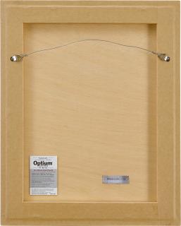 Invader - Princess Peach + SI