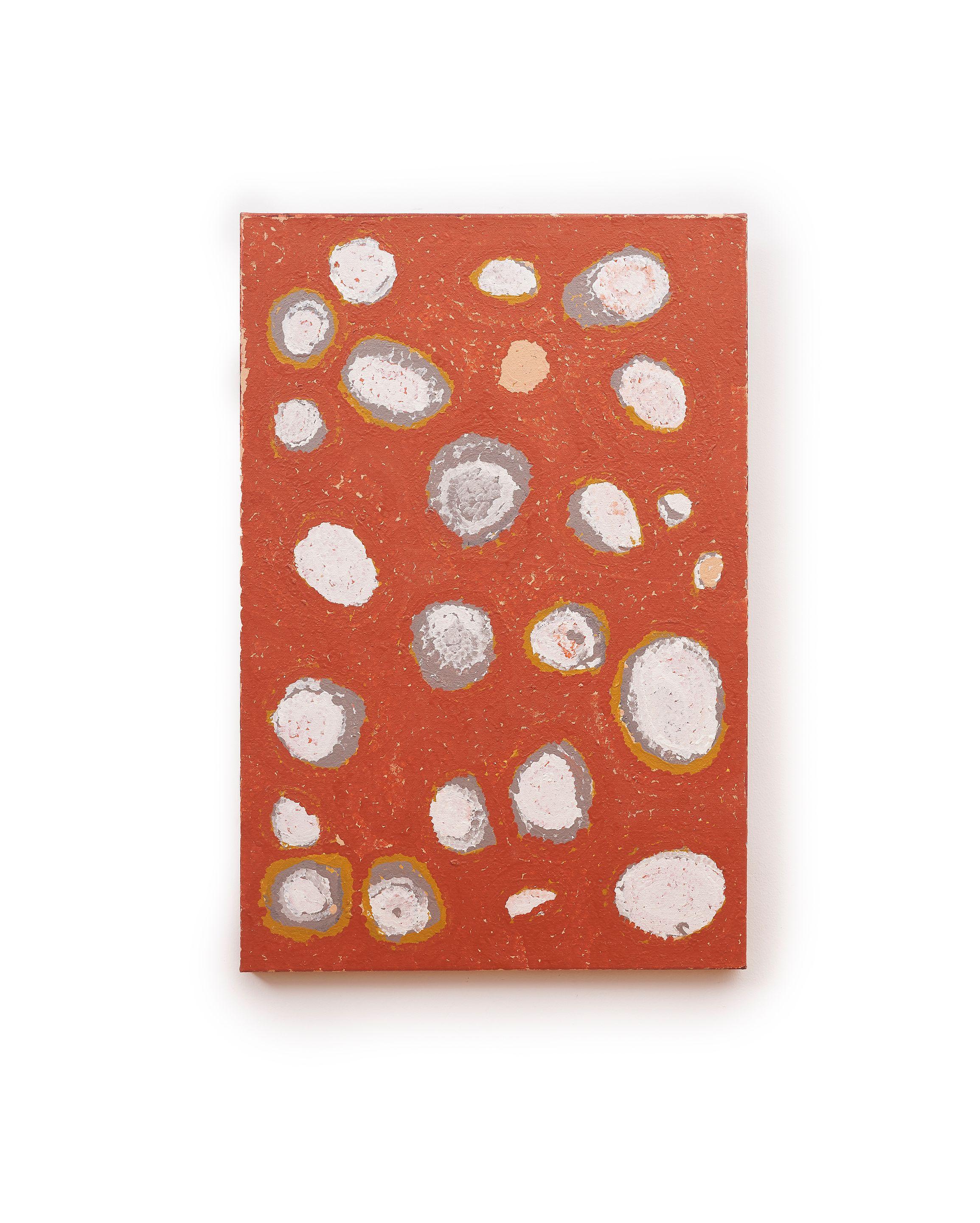 Inyuwa Nampitjinpa - Women\'s Dreaming at Punkilpirri, 1996