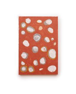 Inyuwa Nampitjinpa - Women\'s Dreaming at Punkilpirri, 1996