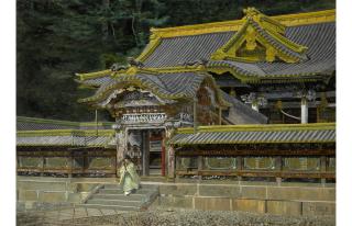 Ioki Bunsai - Nikko Toshogu Honden