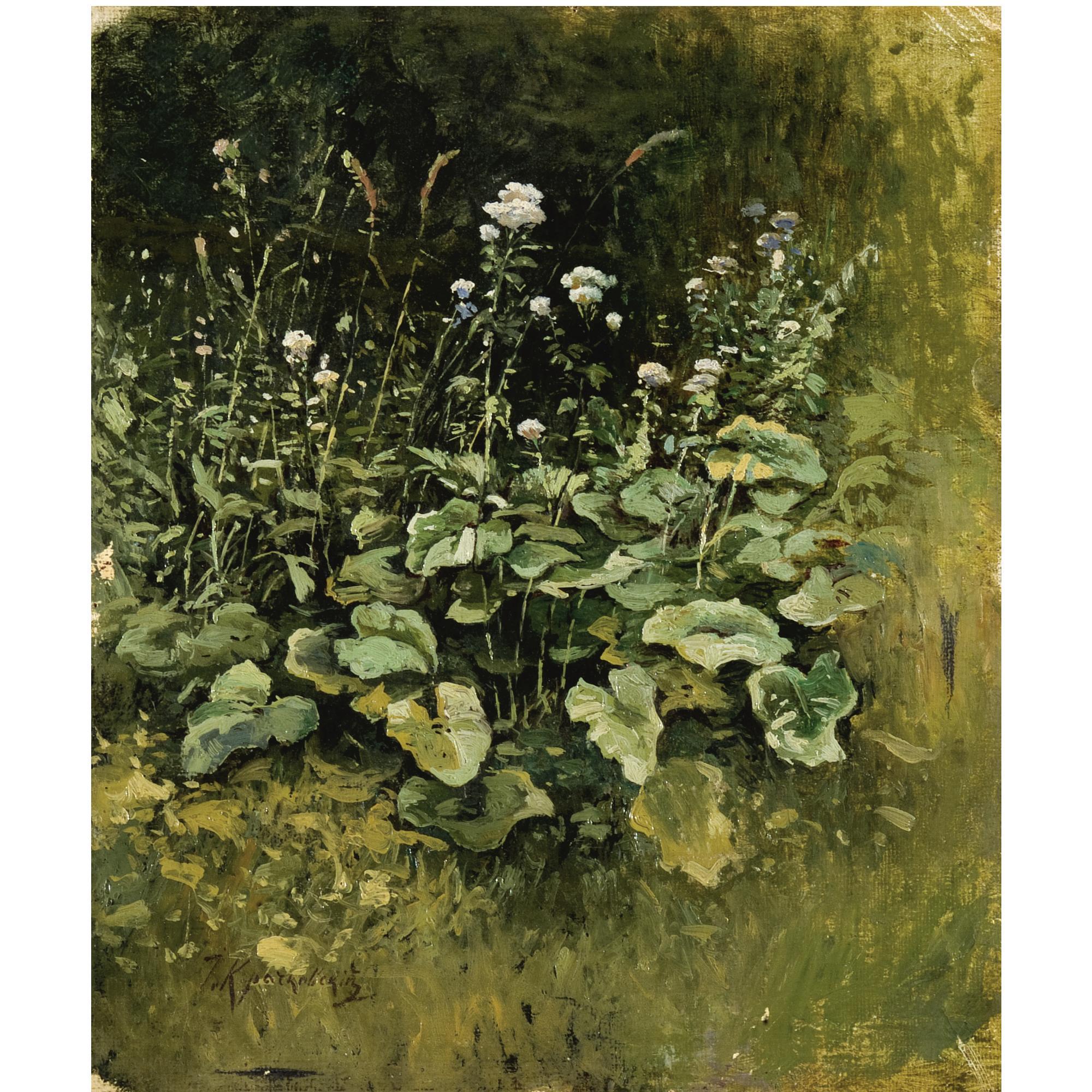 Iosif Evstafevich Krachkovsky - Wild Grass