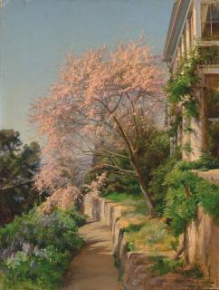 Iosif Krachkovsky - Tree in blossom, Crimea