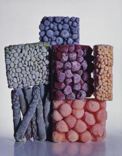 Irving Penn - Frozen Foods, New York, 1977
