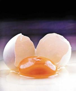 Irving Penn - New York