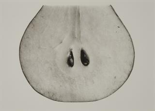 Irving Penn - Pear with Seeds (A), New York, 1993