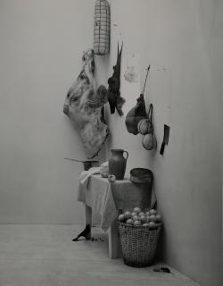 Irving Penn - (Vermeer) Still Life with Mouse