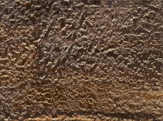 Isa Genzken - Basic research