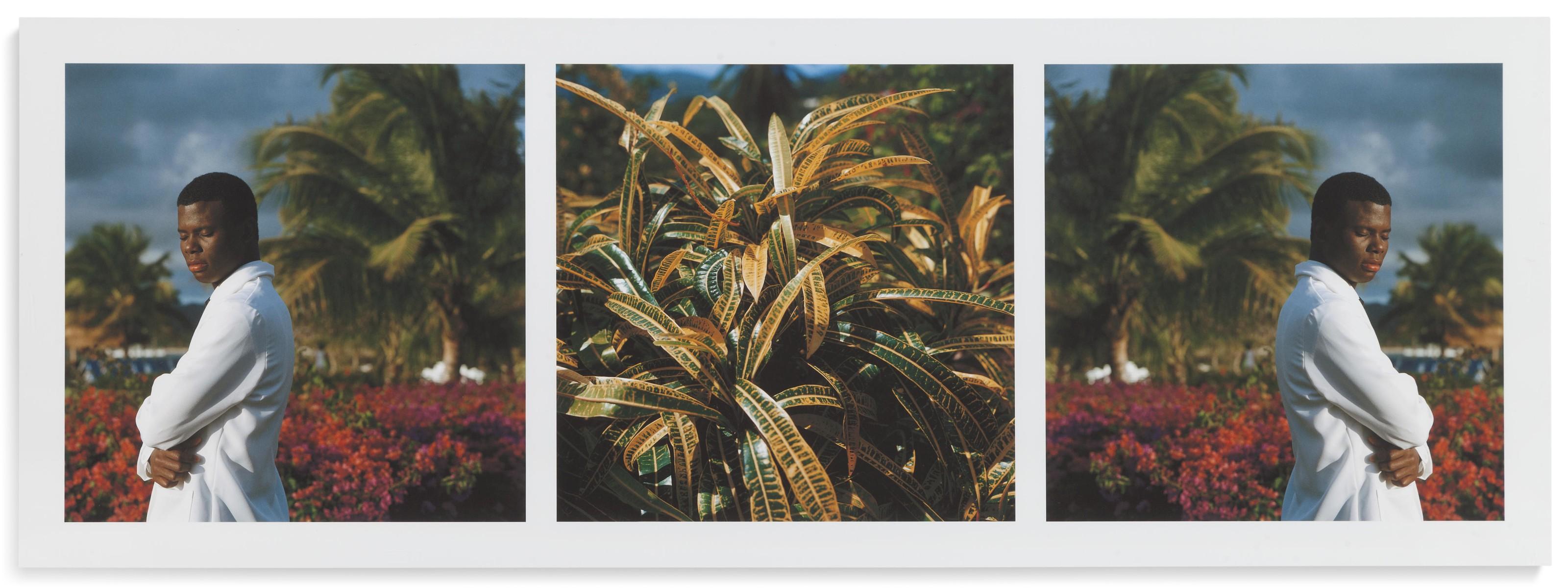 Isaac Julien - Paradise (Omeros) No. 1