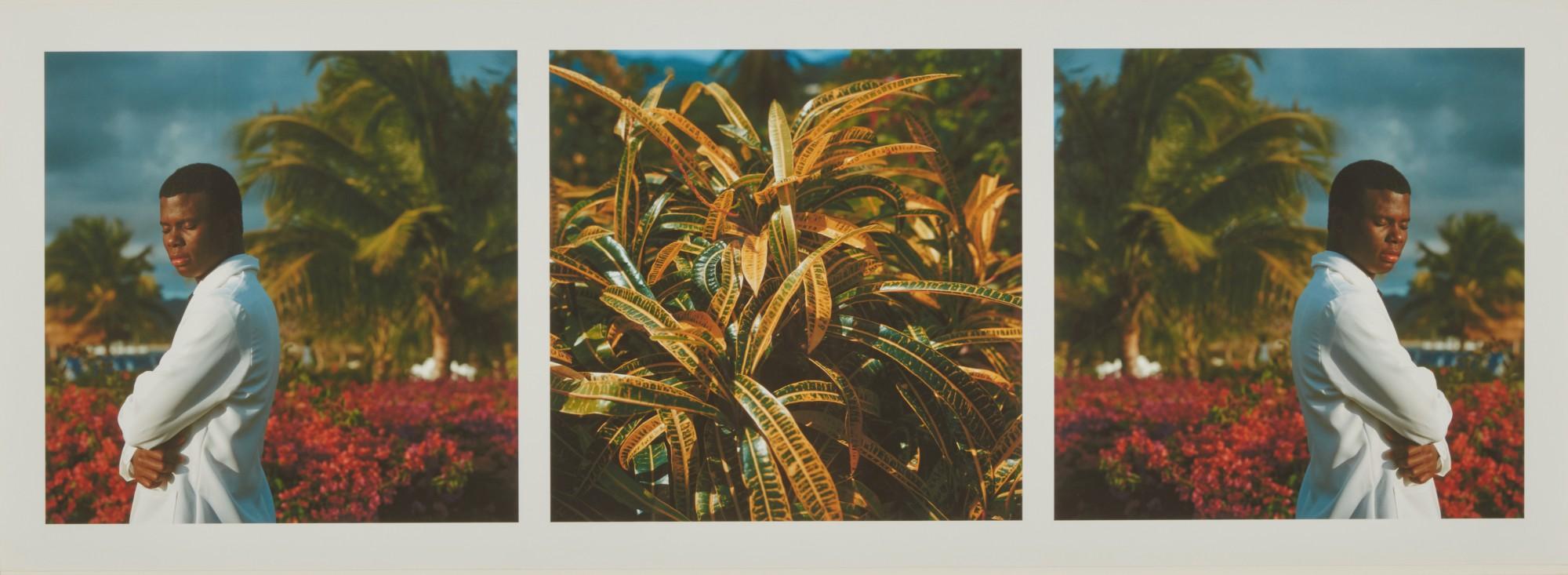 Isaac Julien - Paradise (Omeros) No. 1