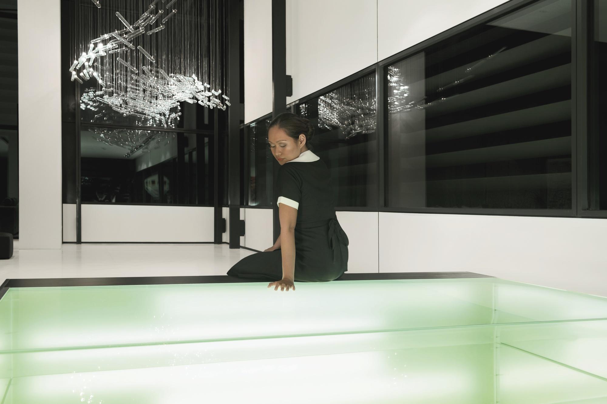 Isaac Julien - The Maid / Reflections (Playtime)
