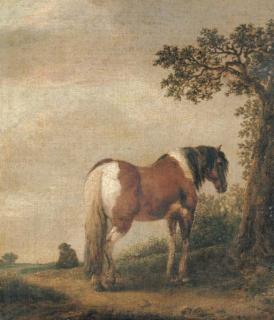 Isaac van Ostade - A horse in a landscape