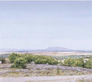 Isabel Quintanilla - Paisaje de Santa Cruz de la Sierra