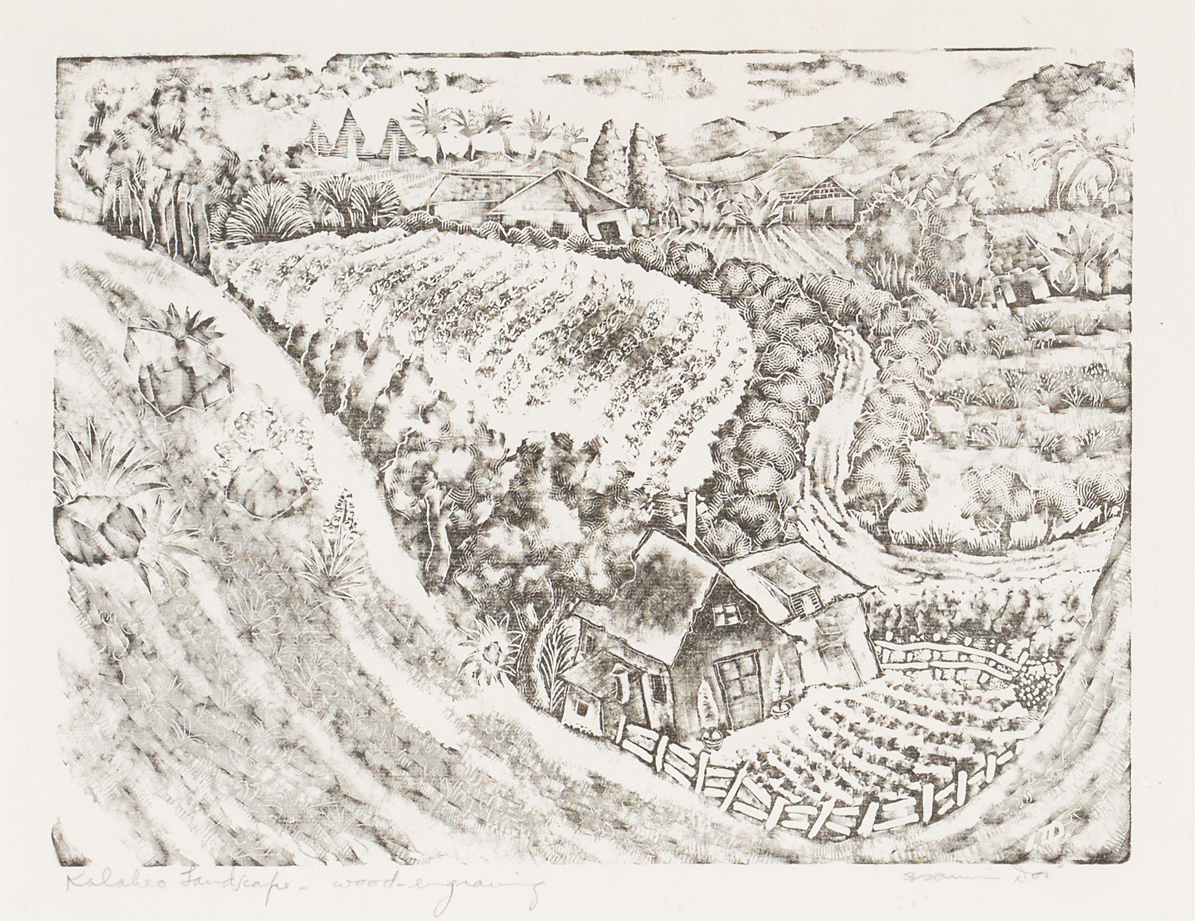 Isami Doi - Kalaheo Landscape