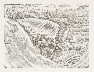 Isami Doi - Kalaheo Landscape