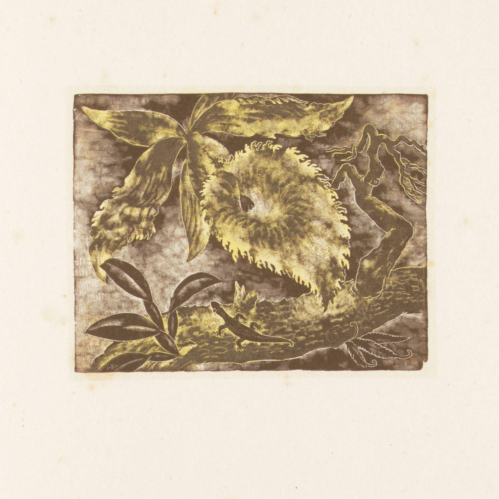 Isami Doi - Random Vintage, Twenty Original Wood-Engravings 20