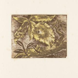 Isami Doi - Random Vintage, Twenty Original Wood-Engravings 20