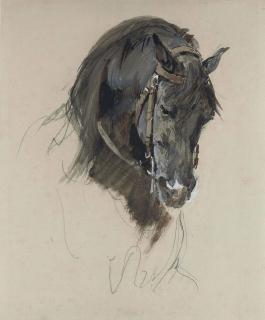 Isidore-Alexandre-Augustin Pils - The head of a black horse