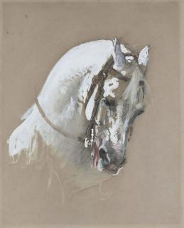 Isidore-Alexandre-Augustin Pils - The head of a white horse