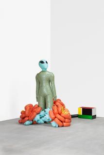 Iskender Yediler - Alien im Rosengarten.