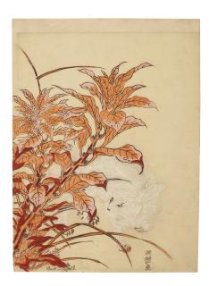 Isoda Koryusai - White Hare And Amaranth