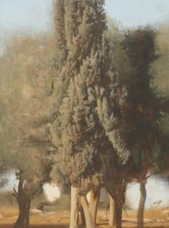 Israel Hershberg - Cypress #1
