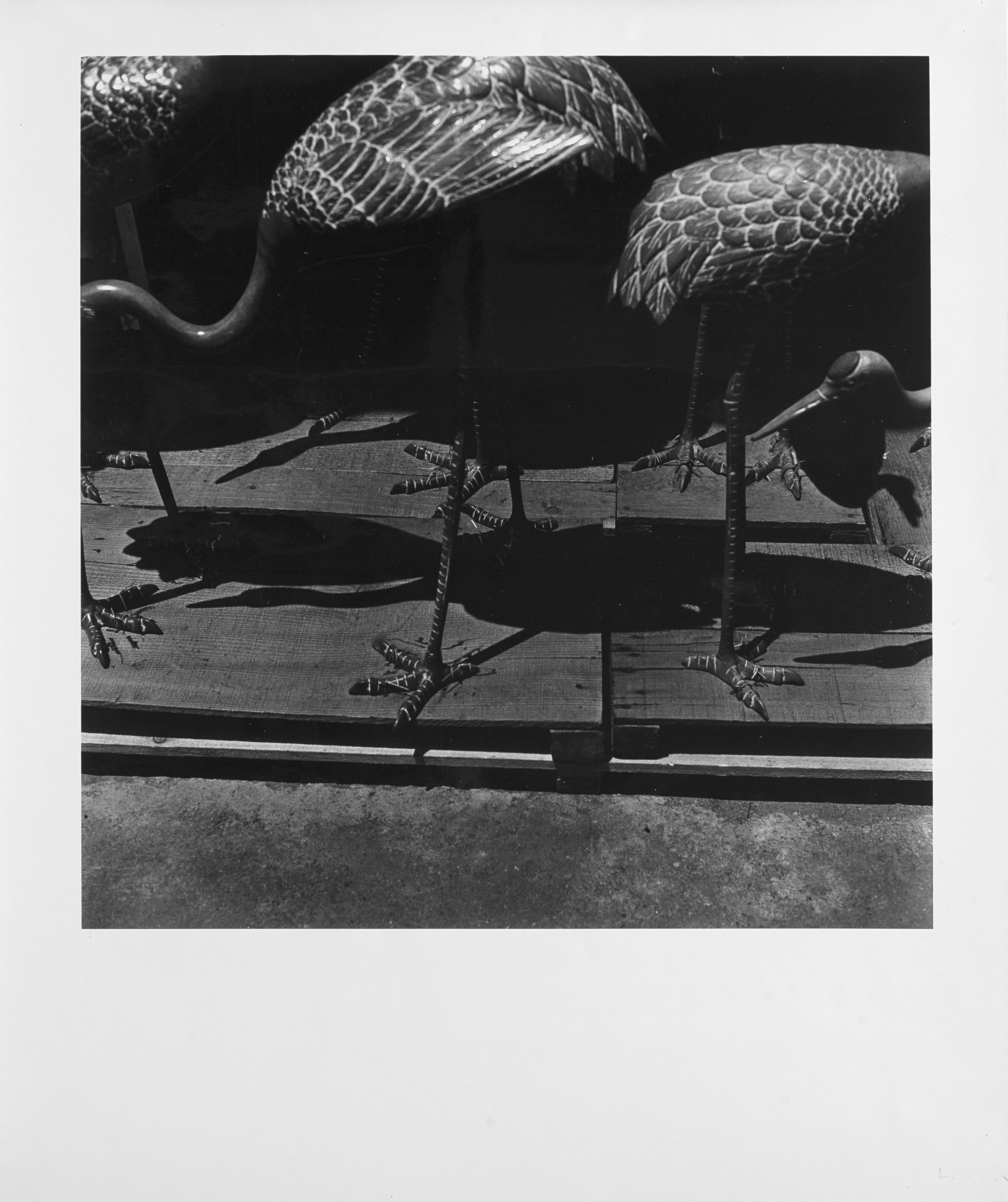 Issei Suda - Birds 1970 ca.