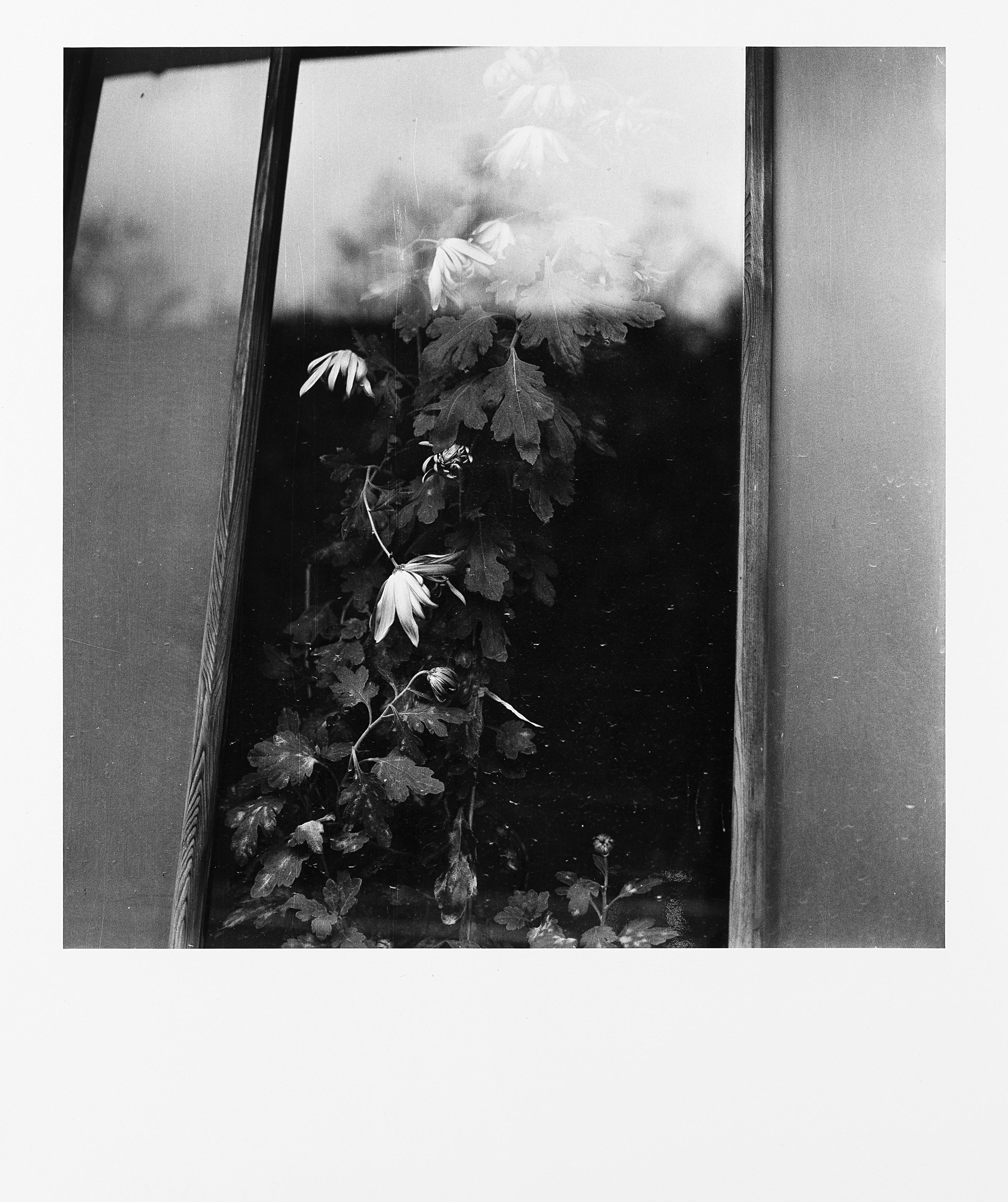 Issei Suda - La finestra 1970 ca.