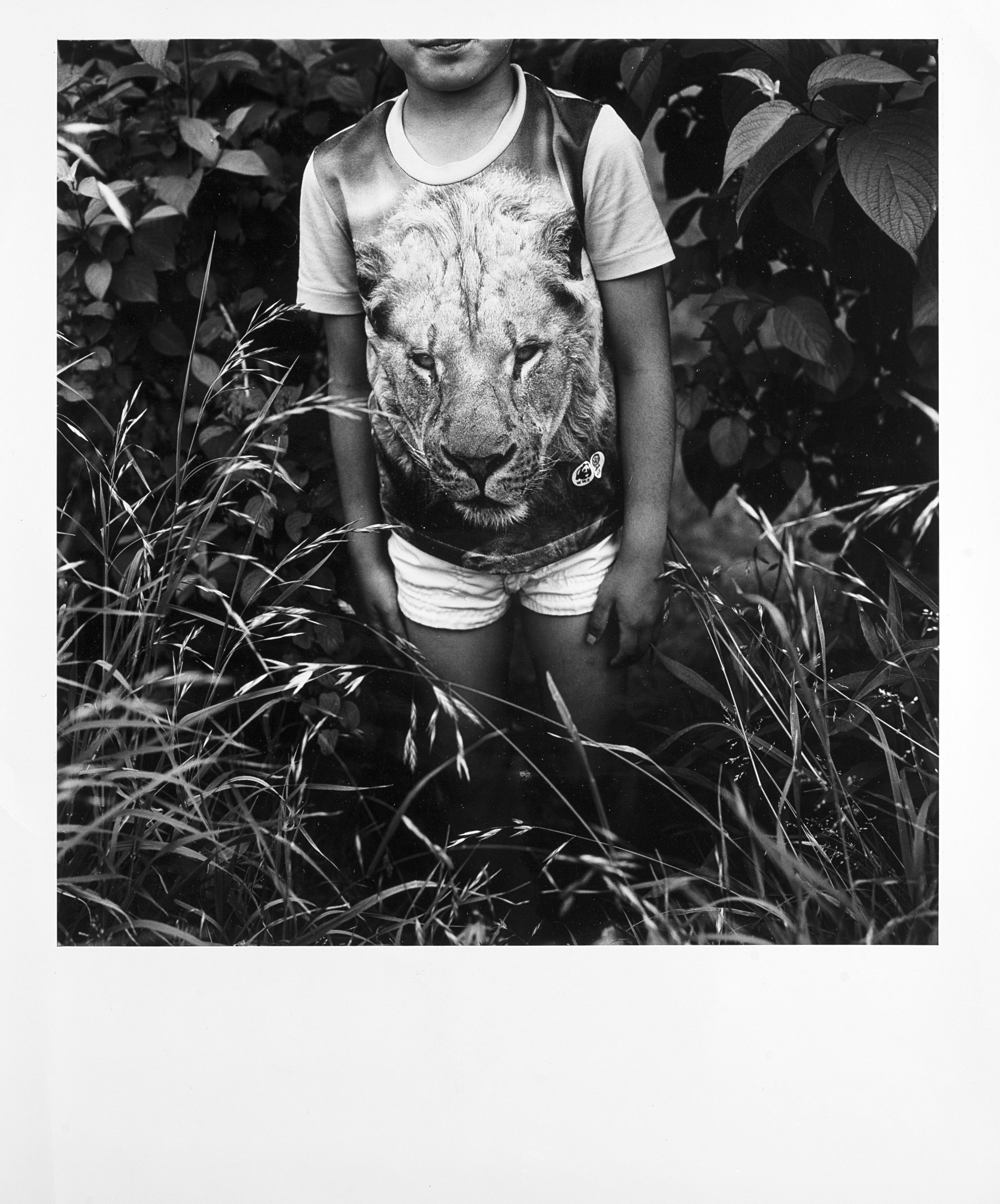 Issei Suda - Lion 1970 ca.